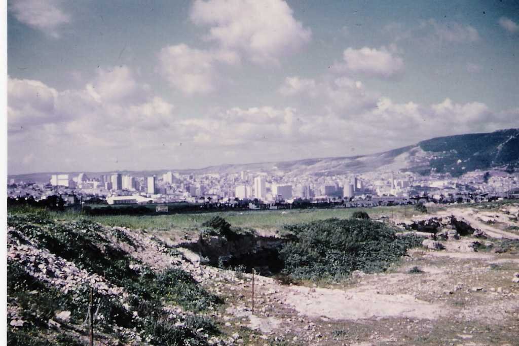 ORAN 1950 VILLE ZONE EST.jpg